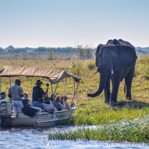 Safari by boat in Chobe National Park